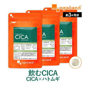 CICA Tvi3j Tvg e c{NTGLX ngMGLX ͂Ƃނ rI` R[Q r^~C VJ ؍ ϐ RX pbN  N[  y I[K