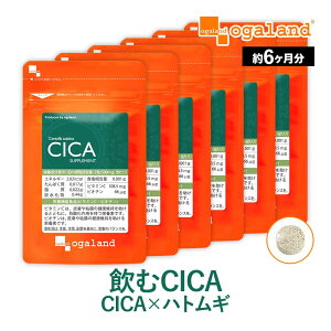 CICA Tvi6j Tvg e c{NTGLX ngMGLX ͂Ƃނ rI` R[Q r^~C VJ  邨 ؍ ϐ RX CICA pbN  N[