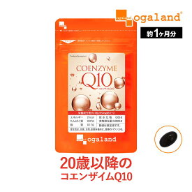コエンザイムQ10（約1ヶ月分）ダイエット 送料無料 エイジングケア サプリメント Lカルニチン や αリポ酸 との相性◎ 美容 健康サプリ 初心者におすすめ 基礎サプリ 黒コショウ 抽出物 ポイント消化 送料無 ポイント消費 送料無料