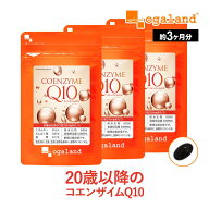 【楽天1位獲得】 コエンザイムQ10 （約3ヶ月分） 美容 黒コショウ 抽出物 コエンザイム Q10 サプリメント…