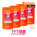 ザクロエキス＆大豆イソフラボン（約12ヶ月分）送料無料 サプリ サプリメント ザクロ イソフラボン ミネラル ビタミン アミノ酸 エイジングケア 美容 女性特有 豆乳 より手軽 【1年分】 ポイント消化 送料無 ポイント消費 送料無料