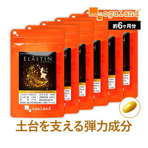 GX`i6jeTv Tvg  ێPA pE_[  t y vZ^ Ƒ I[u R[Qyv`h A}j AV`  I[K