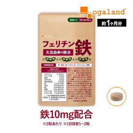 【新商品】 フェリチン鉄 （約1ヶ月分） 鉄 鉄分 サプリ 栄養機能食品 貯蔵鉄 オーガランド 女性 亜鉛 銅 葉酸 ビタミンB6 ビタミンB12 非ヘム鉄 小粒 1粒あたり5mg 高吸収 有機 大豆由来 ドリンクより手軽に サプリメント 送料無料 1日1粒