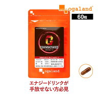 ガラナチャージ お試し（60カプセル）ガラナ末 L-アルギニン カフェイン 錠剤 低糖質 低カロリー エナジ…