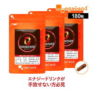 ガラナチャージ（3個セット）ガラナ末 Lアルギニン カフェイン 低糖質 低カロリー エナジードリンク の …