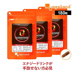 ガラナチャージ(3個セット)ガラナ末 Lアルギニン カフェイン 低糖質 低カロリー エナジードリンク の 代わりに 送料無料 サプリメント サプリ 元気 活力 低価格 健康食品 ダイエット 健康
