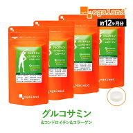 グルコサミン コンドロイチン コラーゲン（約12ヶ月分）サプリメント サプリ フィッシュ コラーゲン 2型…