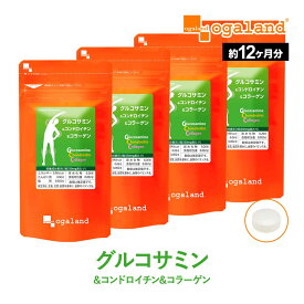 グルコサミン コンドロイチン コラーゲン（約12ヶ月分）送料無料 サプリメント サプリ フィッシュ コラーゲン 2型コラーゲン コンドロイチン ヒアルロン酸 MSM デキストリン 健康 健康食品 低価格 オーガランド ポイント消化 送料無 ポイント消費 送料無料