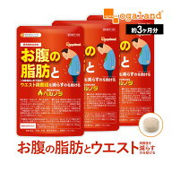 【クーポンで780円OFF】ダイエットサプリ ヘルノダ （約3ヶ月分） 気になる体重やお腹の脂肪に 内臓脂肪 …