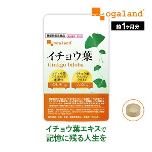 y@\\HizC`Eti1jTvg  Tv 傤 C`EtGLX C`ETv I[Kh supplement X |tFm[ t{mCh iCA