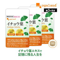 【機能性表示食品】イチョウ葉（約3ヶ月分） イチョウ葉フラボノイド配糖体、イチョウ葉テルぺンラクトン…