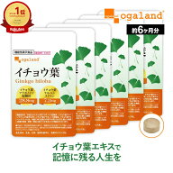 【機能性表示食品】イチョウ葉（約6ヶ月分）イチョウ葉 サプリメント サプリ いちょう イチョウ葉エキス …