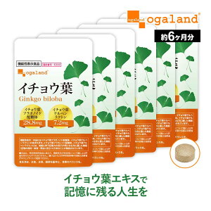 【機能性表示食品】イチョウ葉(約6ヶ月分)イチョウ葉 サプリメント サプリ いちょう イチョウ葉エキス イチョウサプリ 若々しく 送料無料 オーガランド フラボノイド ナイアシン パント