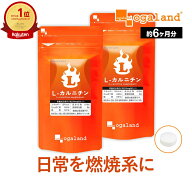 L-カルニチン（約6ヶ月分）送料無料 ダイエット サプリ サプリメント ダイエットサプリ 燃焼系 L-カルニ…