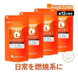 L-カルニチン（約12ヶ月分）燃焼系 ダイエット Lカルニチン 配合。 送料無料 サプリ サプリメント BCAA アミノ酸 や α-リポ酸 や コエンザイムQ10 と併用◎ 美容 女性 l-カルニチンフマル酸塩 オーガランド 低価格【1年分】 ポイント消化 送料無 ポイント消費 送料無料