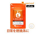燃焼系 ダイエットサプリ L-カルニチン（約1ヶ月分） 1000円ぽっきり 送料無料 サプリ 燃焼系 ダイエット Lカルニチン 配合 BCAA EAA アミノ酸 α-リポ酸 フォルスコリ と併用◎ l-カルニチン フマル酸塩 口コミ 男性 女性 お試し