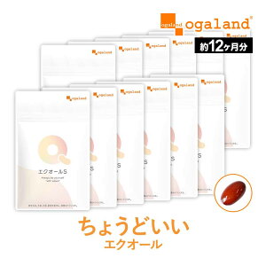 GNI[Si12ZbgE12jGNI[   GNI[S NgrI_ 哤 oy 哤C\t{ GNI[Tv I[Kh 1N j  |C