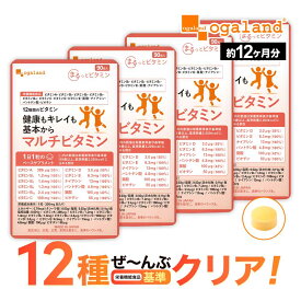 マルチビタミン（約12ヶ月分） 送料無料 1粒でOK 飲みやすい サプリ 野菜不足 食事で不足 ビタミン サプリメント ビタミンA ビタミンB1 ビタミンB2 ビタミンB6 ビタミンB12 ビタミンC ビタミンD ビオチン ナイアシン ポイント消化 送料無 ポイント消費 送料無料