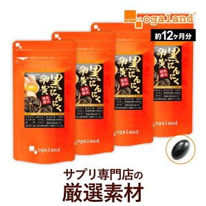 yj[Az ɂɂ  Tv i12j  ɂɂ jjN XY nzCgZ YS-AVXeC nɂɂ jjN X^~i 