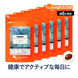 プロテオグリカン コンドロイチンplus （6個セット・約6ヶ月分）美容 健康 サプリ サプリメント エイジングケア 美容ケア ヒアルロン酸 コラーゲン グルコサミン コンドロイチン と相性◎ オーガランド 【半年分】 _JB_JH ポイント消化 送料無 ポイント消費 送料無料