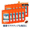 プロテオグリカン コンドロイチンplus （12個セット・約12ヶ月分）美容 健康 サプリ サプリメント エイジングケア 美…