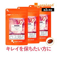 プロテオグリカン プラセンタplus（3個セット・約3ヶ月分）美容 健康 サプリ サプリメント エイジングケ…