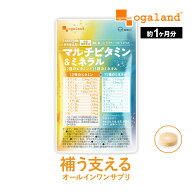 マルチビタミン＆ミネラル （約1ヶ月分）送料無料 ビタミンC マルチビタミン ミネラル サプリ ビオチン …