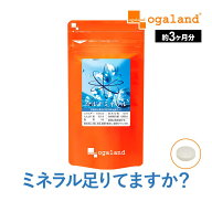 【ポイント10倍】マルチミネラル（約3ヶ月分）送料無料 ミネラル サプリ サプリメント ビタミン おすすめ…