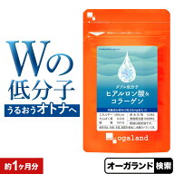 【16日 朝9:59までポイント5倍】W低分子ヒアルロン酸&コラーゲン（約1ヶ月分）ヒアルロン酸 コラーゲン …