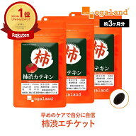 カテキン部門1位獲得！柿渋カテキン 約3ヶ月分 加齢 柿渋石鹸 あめ 茶 サプリ オリゴ糖 サプリ サプリメ…