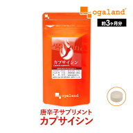 【テレビで話題の成分】 ダイエットサプリ カプサイシン（約3ヶ月分）ビール酵母 黒コショウ カプサイシ…