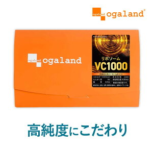 リポソームビタミンC 1000(20包) 粉末 個包装 ビタミンC リポソーム レモン風味 リポソームビタミンC 1包 1000mg 高純度 ビタミンCサプリ リポソーム美容液と相性◎ パウダー サプリメント 女