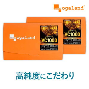 【新発売】リポソームビタミンC1000(20包×2個セット)粉末 個包装 レモン風味 持続型 リポソーム ビタミンC 1包あたり1000mg 高純度 ビタミンC サプリ リポソーム美容液と相性◎ パウダー サプ