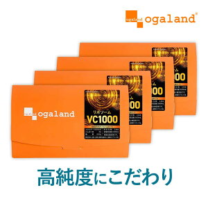 【新発売】リポソームビタミンC1000(20包×4個セット)粉末 個包装 レモン風味 持続型 リポソーム ビタミンC 1包あたり1000mg 高純度 ビタミンC サプリ リポソーム美容液と相性◎ パウダー サプ