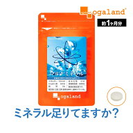 マルチミネラル（約1ヶ月分）ミネラル 送料無料 サプリ サプリメント さぷり ビタミン カルシウム 鉄 亜…