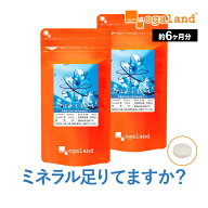 【ポイント10倍】マルチミネラル （約6ヶ月分）送料無料 ミネラル サプリメント サプリ ビタミン カルシ…