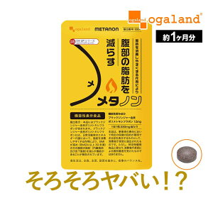 メタノン(約1ヶ月分)機能性表示食品 サプリメントブラックジンジャー由来ポリメトキシフラボンには、BMI が高め(BMI24 以上 30 未満)の方の腹部の脂肪(内臓脂肪及び皮下脂肪)を減らす