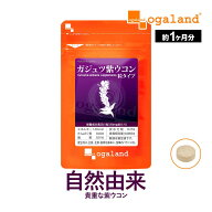 ガジュツ紫ウコン（うこん）粒（約1ヶ月分）サプリメント サプリ 3粒あたり紫うこん630mg。 オーガランド…