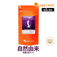 ガジュツ 紫ウコン うこん 粒（約3ヶ月分）サプリメント サプリ 3粒あたり 紫うこん 630mg オーガランド …