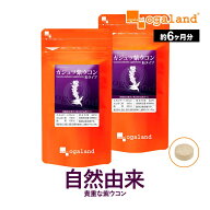 ガジュツ紫ウコン（うこん）粒（約6ヶ月分）送料無料 サプリメント サプリ 3粒あたり紫うこん630mg。 オ…