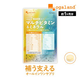 マルチビタミン＆ミネラル （約1ヶ月分）送料無料 ビタミンC マルチビタミン ミネラル サプリ ビオチン ビタミンB1 ビタミンD ビタミンE ナイアシン ビタミンA サプリメント ミネラル 美容 健康 葉酸 亜鉛 鉄 ポイント消化 ポイント消費 送料無料