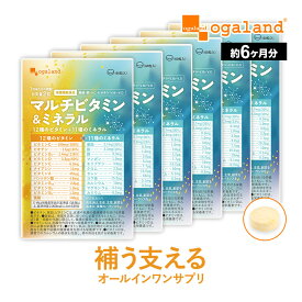 マルチビタミン＆ミネラル（約6ヶ月分）送料無料 ビタミンC マルチビタミン ミネラル サプリ ビオチン ビタミンB1 ビタミンD ビタミンE ナイアシン ビタミンA サプリメント ミネラル 葉酸 亜鉛 鉄 銅 マンガン カルシウム