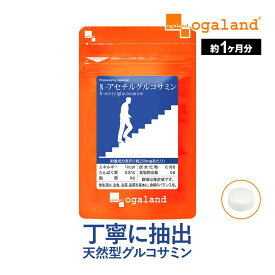 N-アセチルグルコサミン（約1ヶ月分）グルコサミン 天然型グルコサミン サプリ サプリメント ヒアルロン酸 コンドロイチン との併用がおすすめ 若々しく 健康 元気 健康食品 ポイント消化 ポイント消費