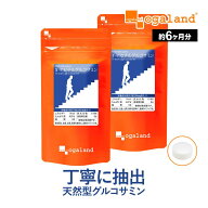 N-アセチルグルコサミン （約6ヶ月分） 送料無料 健康 元気 若 天然型グルコサミン サプリメント サプリ …
