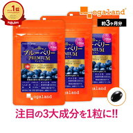 【楽天1位獲得！】ブルーベリープレミアム（約3ヶ月分） 送料無料 ブルーベリー ビルベリー ルテイン ア…