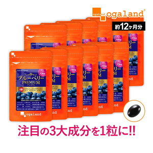 yyV1ʊlIzu[x[v~Ai12j  u[x[ rx[ eC AgVAj AX^LT` JVX N Tvg  I[Kh 