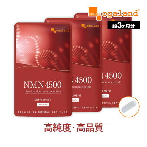 NMN Tvg { 4500 i3j NMNTvg jR`A~h mkNI`h  Tvg Tv X ƂƂɌnmn r^~B3 iiCAVj 