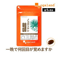 ノコギリヤシ(約1ヶ月分)のこぎりやし ノコギリヤシ サプリ サプリメント サジー 沙棘 パンプキンシード …