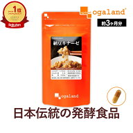 納豆キナーゼ（約3ヶ月分）送料無料 サプリ 納豆菌 ダイエット サプリメント 大豆 ナットウキナーゼ 健康…