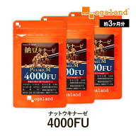 ナットウキナーゼプレミアム 4000FU （約3ヶ月分） 送料無料 納豆 サプリ ビタミンK2 新発売 納豆菌 オー…